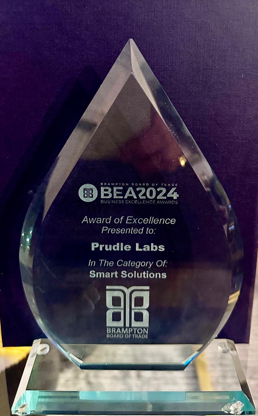 Prulde Business Excellence Award